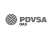 PDVSA